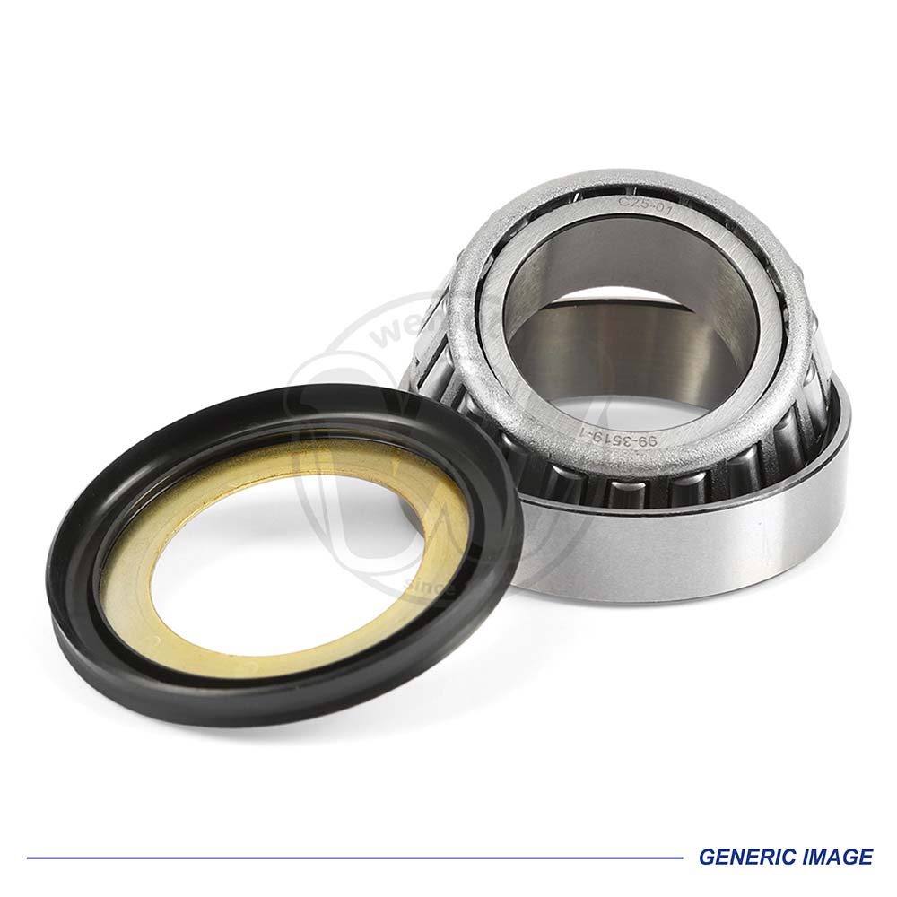 0SY5754_Tapered Headrace Bearing and Seal Generic.jpg